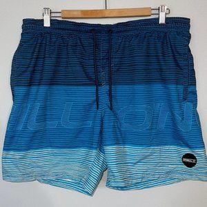 O’Neill Striped Board Shorts
